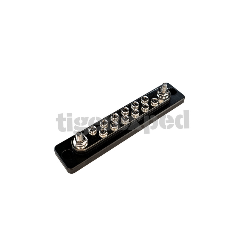 Bornier 150A 2 x M6 + 12 x M4